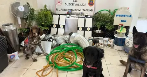 Düzce’de uyuşturucu operasyonu: 1 gözaltı