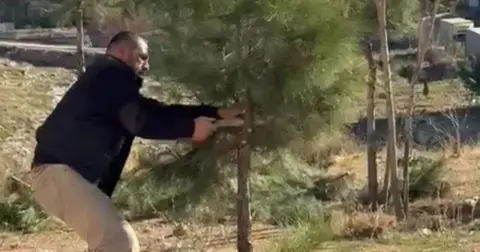 Mardin Artuklu'da muhtar kendi elleriyle ağaçları budadı