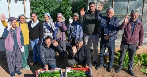 Mersin Aydıncık’ta üreticiler ilk hasadı yaptı