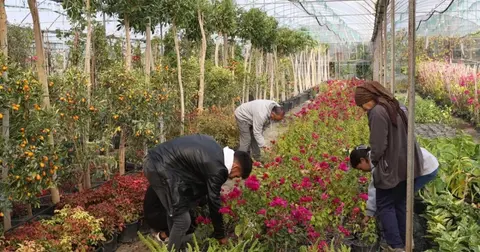 Muğla'dan yerel kalkınmaya 'Büyük' katkı