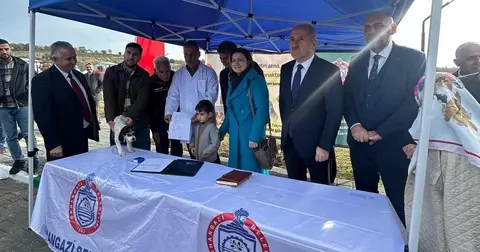 Bursa Orhangazi’ye Türkiye’nin en modern sokak hayvanları merkezi açıldı