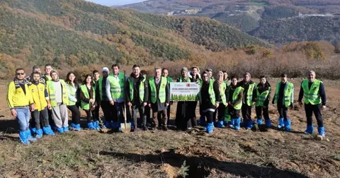 Kocaeli'de 'Kocaeli Gönüllüsü' projesi kapsamında 250 fidan dikildi