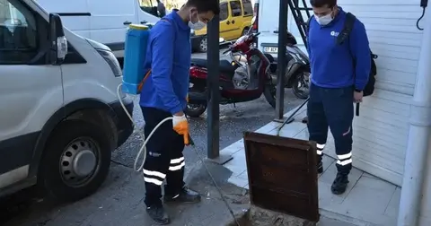Antalya'da vektörel mücadele çalışmaları sürüyor