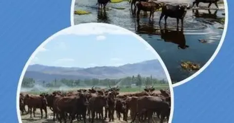 Halk elinde ıslaha 2,7 milyar TL destek
