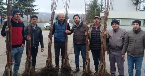Bilecik Pazaryeri'nde 450 meyve fidanı üreticilere dağıtıldı