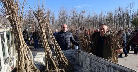 Kocaeli'de üreticilere yüzde 50 hibeli fidan dağıtımına devam