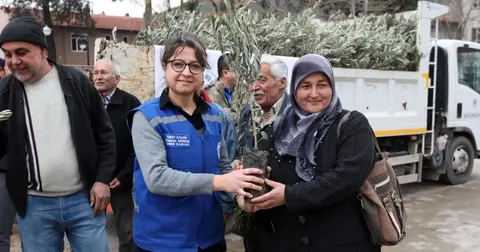Muğla Ula’da üreticiye zeytin ve ceviz fidanı desteği
