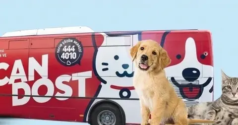 Balıkesir’de patili canlara mobil sağlık hizmeti