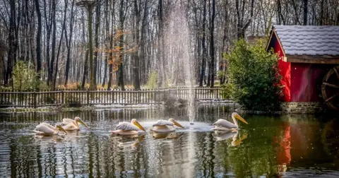 Kocaeli'de Ormanya ve Kuzuyayla ziyaretçilere hazır