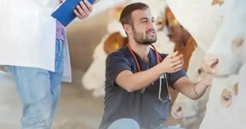 Denizli Büyükşehir’den üreticiye sahada destek