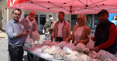 İzmit'te ücretsiz istiridye mantarları dağıtıldı