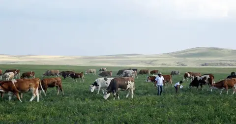 Kars Ani'de meralar yasaklandı mı? Açıklama geldi