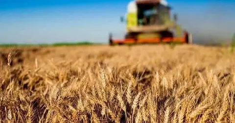 Kırsal kalkınma yatırımlarında 10 milyar TL'lik destek başladı