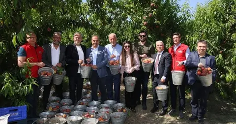 Şeftali ve nektarinde 250 milyon dolar ihracat hedefi