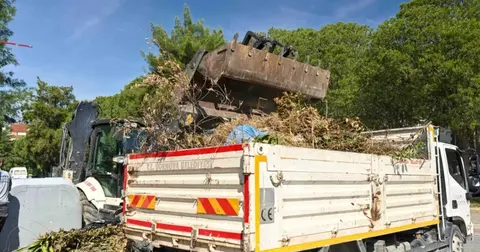 Bornova’da yaz öncesi kuru otlar temizlendi