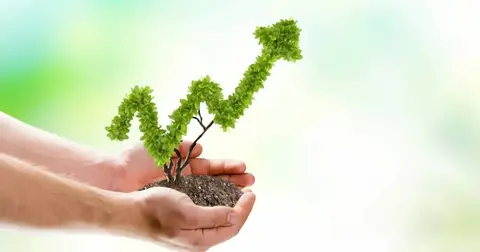 BNP Paribas Cardif Emeklilik’in sürdürülebilirlik odaklı BES Fonu (BSR) 1 yaşında