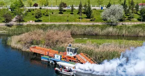 Başkent’te yaz dönemi ilaçlama seferberliği başladı