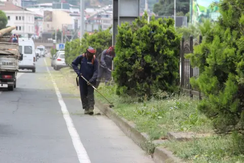 Giresun'da temizlik seferberliği: Yabani otlar temizlendi