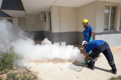 Antalya'da haşere mücadelesi aralıksız: Evler ve kanallar ilaçlandı