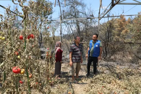 Muğla Seydikemer'de yangın sonrası hasar tespiti başladı