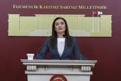 CHP'den silahsızlanma vurgusu: "İmza boş çek değil"