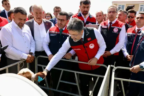 GEKİS Kars'ta başladı: Hayvanlar dijital kimlik alıyor