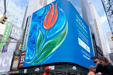 COP31 için New York'ta Ebru Sanatı Gösterisi