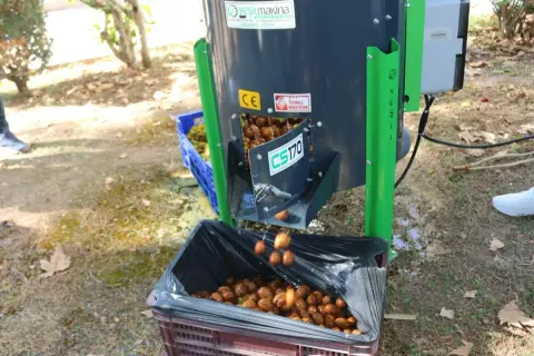Antalya’da üreticilere ceviz soyma makinesi desteği