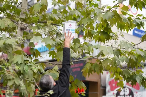 Kocaeli'de ağaçlara 5 bin kitap asıldı: Fuar müjdeleri dalda