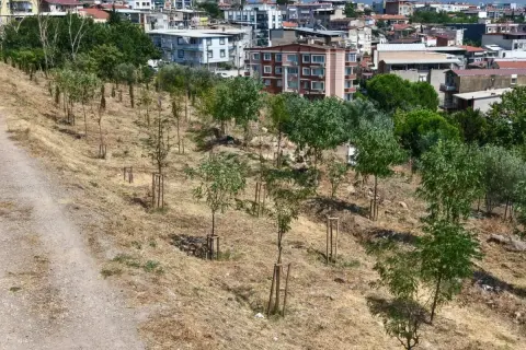 İzmir'in kıraç topraklarına 41 bin bitki: 213 sahalık yeşil alan