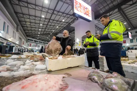 İzmir'de balık sezonu rekorla başladı: 9 bin ton