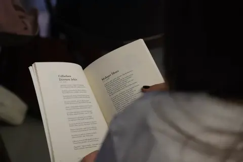 25’inci Uluslararası Sapanca Şiir Akşamları başlıyor