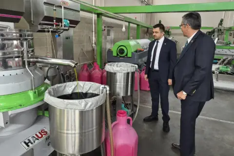 Zeytin üreticisi: 'Maliyetlerimizi bile çıkaramıyoruz'