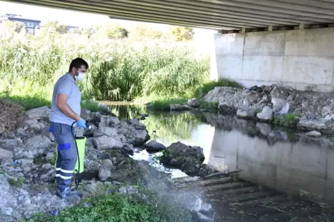 Çanakkale'de karasinek alarmı: Belediye biyosidal savaş başlattı