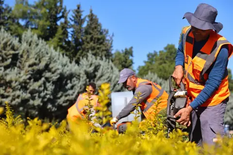 Antalya COP31 için dev hazırlık: 50 araç, 300 personel