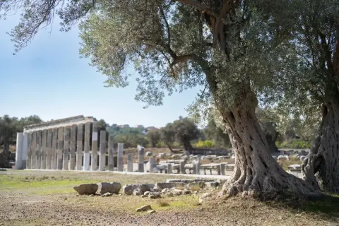 Teos'ta 2200 Yıllık Meclis Binası Aydınlanıyor