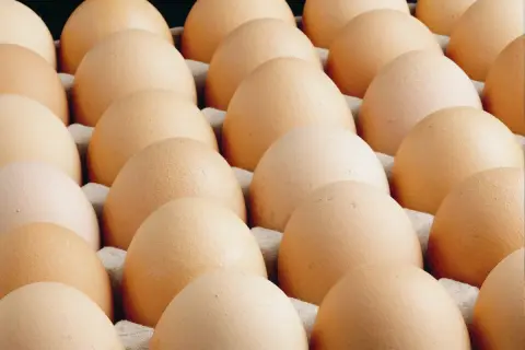 Yumurta üretiminde rekor: Ağustos'ta 2 milyarı buldu