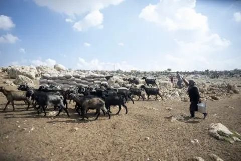 Mersin'de göçebe üreticilere güneş paneli: 1160 hane aydınlandı