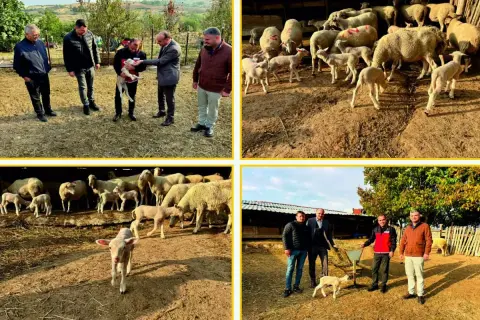Edirne'de genç yetiştiriciye valilik protokolü ziyareti