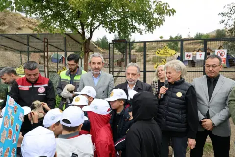 Talas'ta 20 bin m² yeni pati evi: 7 yılda 11 bin hayvan kurtarıldı
