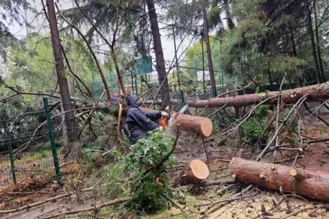 Beylikdüzü'nde sağanak felaketi: Ekipler 7/24 sahada