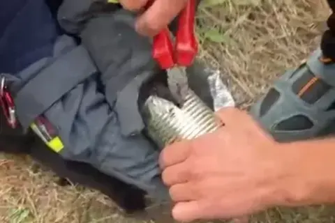 Kayseri itfaiyesinden kediye özel yardım