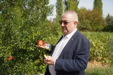 Edremit'te 137 ata tohumu geleceğe bırakılıyor