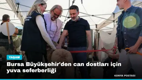 Bursa Büyükşehir'den can dostları için yuva seferberliği