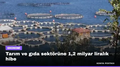 Tarım ve gıda sektörüne 1,2 milyar liralık hibe