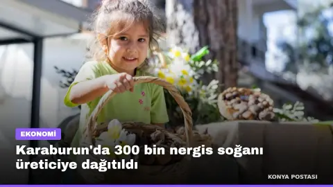 Karaburun'da 300 bin nergis soğanı üreticiye dağıtıldı