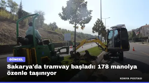 Sakarya'da tramvay başladı: 178 manolya özenle taşınıyor