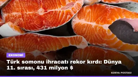 Türk somonu ihracatı rekor kırdı: Dünya 11. sırası, 431 milyon $