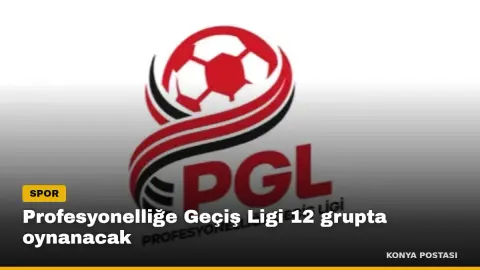 Profesyonelliğe Geçiş Ligi 12 grupta oynanacak