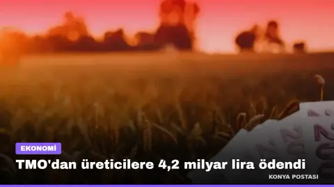 TMO'dan üreticilere 4,2 milyar lira ödendi